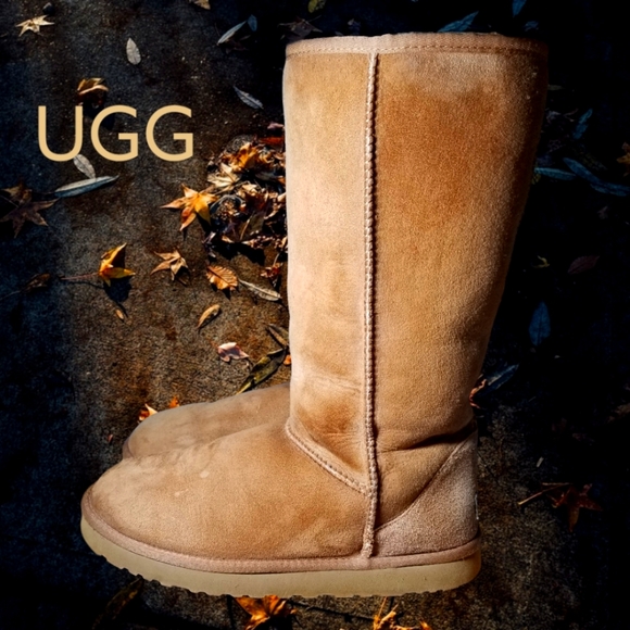 UGG Shoes - UGG Classic Tall Boot chestnut size 10
